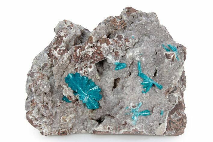 Vibrant Blue Cavansite Crystals on Sparkling Stilbite - India #340994